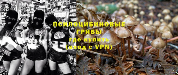 mdpv Нязепетровск