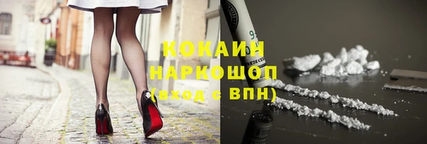 мяу мяу кристалл Няндома