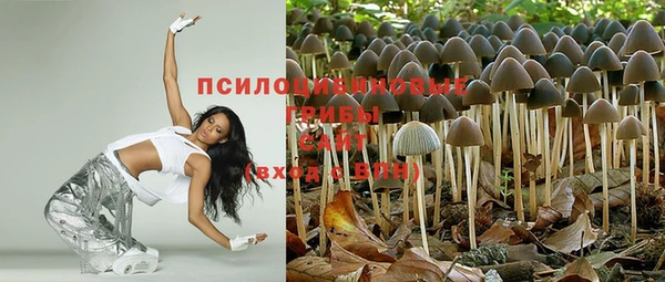 mdpv Нязепетровск