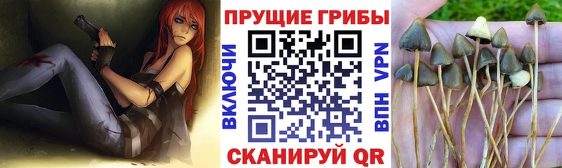Галлюциногенные грибы мицелий  Лесозаводск 